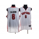 nba toronto raptors #8 jose calderon white