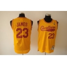 nba cleveland cavaliers #23 james m&n yellow