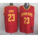 nba cleveland cavaliers #23 james red leopard print