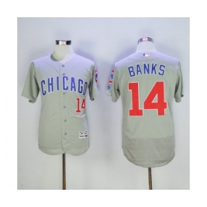 Men's Chicago Cubs #14 Ernie Banks Majestic Gray Flexbase Authentic Collection Player Jersey