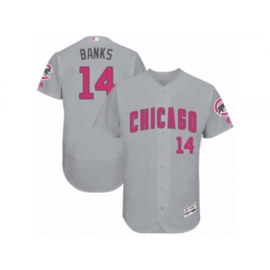 Men's Majestic Chicago Cubs #14 Ernie Banks Grey Mother's Day Flexbase Authentic Collection MLB Jersey