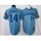 mlb chicago cubs #14 banks m&n blue(white strip)