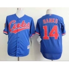 mlb jerseys chicago cubs #14 banks blue[1994 m&n]