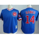 mlb jerseys chicago cubs #14 banks blue[m&n]