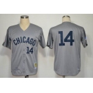 mlb jerseys chicago cubs #14 ernie banks grey m&n