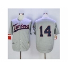 mlb jerseys minnesota twins #14 kent hrbek grey(m&n 1969)