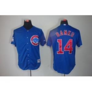 youth mlb jerseys chicago cubs #14 banks blue