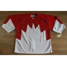 Team Canada jerseys #29 blank white[1972 Vintage]