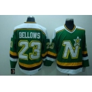 nhl dallas stars #23  bellows green ccm