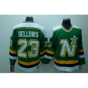 nhl dallas stars #23 bellows green ccm