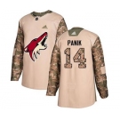 Men's Coyotes #14 Richard Panik Camo 2017 Veterans Day Stitched Hockey Jersey