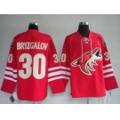 nhl jerseys phoenix coyotes 30# bryzgalov red