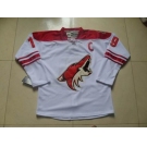 nhl jerseys phoenix coyotes blank white(C)