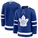 Men's Toronto Maple Leafs Blank Blue 2024-25 Home Stitched Hockey Jersey