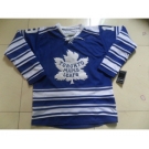 nhl jerseys toronto maple leafs #19 lupul blue[2014 winter classic]