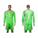 Russia #1 Akinfeev Green Goalkeeper Long Sleeves Soccer Country Jersey