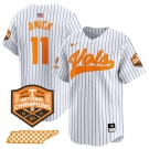Men's Tennessee Volunteers #11 Billy Amick White Pinstripe 2024 Champions Vapor Limited Stitched Jersey