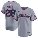 Men's Cleveland Guardians #28 Tanner Bibee Gray 2025 Alternate Limited Stitched Baseball Jersey