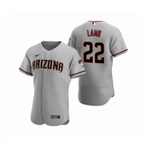 Men's Arizona Diamondbacks #22 Jake Lamb Nike Gray Authentic 2020 Road Jersey