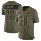 Men's Washington Commanders #28 Darrell Green Olive 2025 Salute to Service Limited Football Stitched Jersey