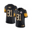 Men's Nike Steelers #81 Jesse James Black Stitched NFL Limited Gold Rush Jersey