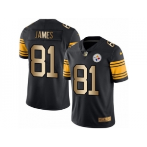 Men's Nike Steelers #81 Jesse James Black Stitched NFL Limited Gold Rush Jersey